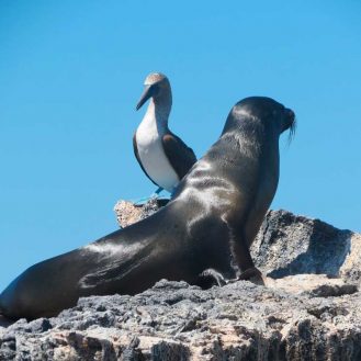 los mejores tours a galapagos