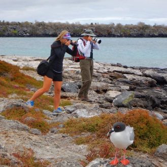 Turistas tomando fotos a unas aves en galapagos